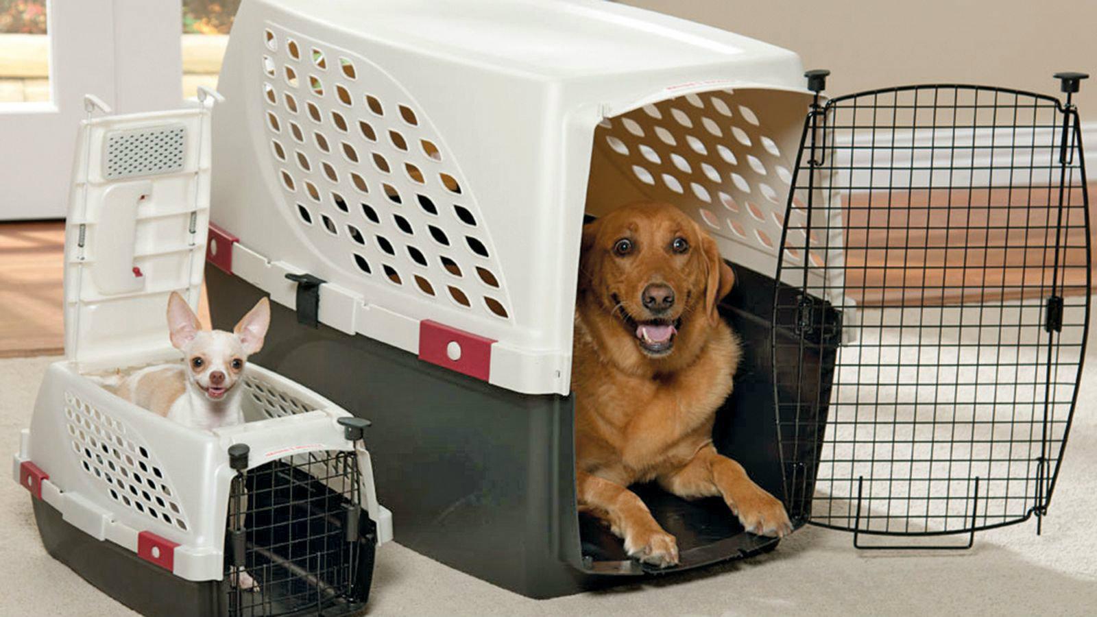 Τα πιο δημοφιλή αξεσουάρ για να κάνετε άνετα τις διακοπές σας