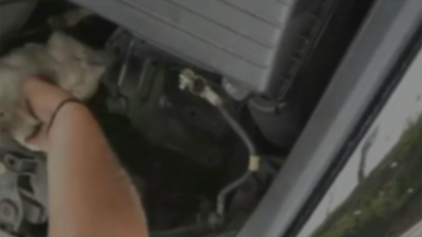 Ένα μικρό κουτάβι βρέθηκε μέσα στον κινητήρα ενός SUV αυτοκινήτου στο Surry County της Βόρειας Καρολίνας των Ηνωμένων Πολιτειών.