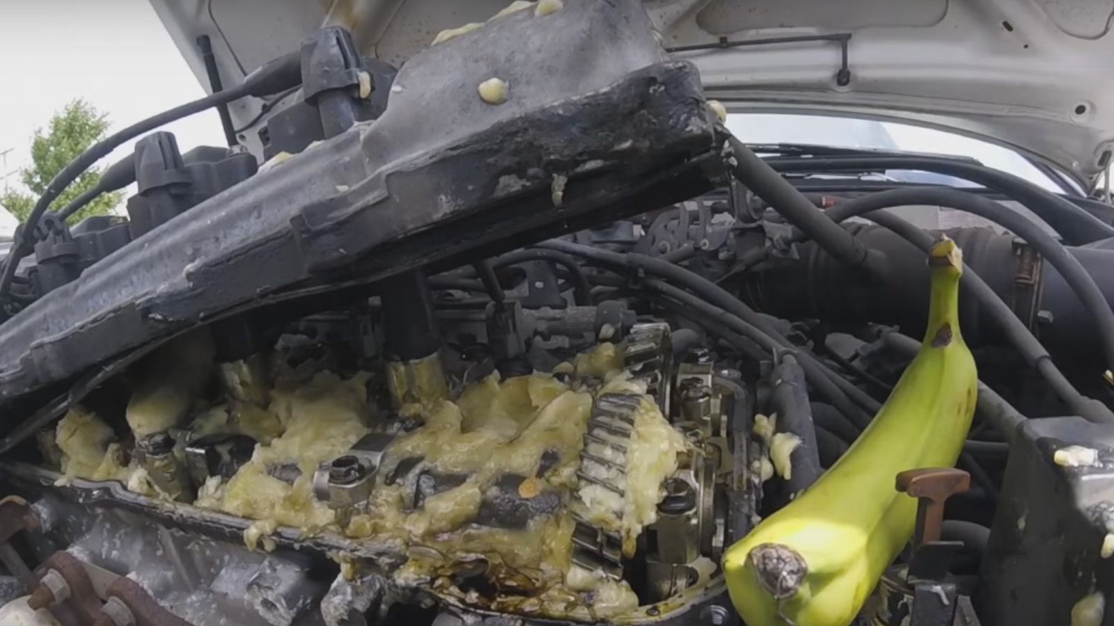 Τα Toyota δουλεύουν και με μπανάνες [video]