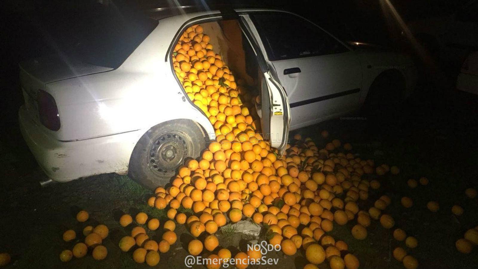 Πορτοκαλοκλέφτες στα πράσα! 4 τόνοι σε 3 αυτοκίνητα