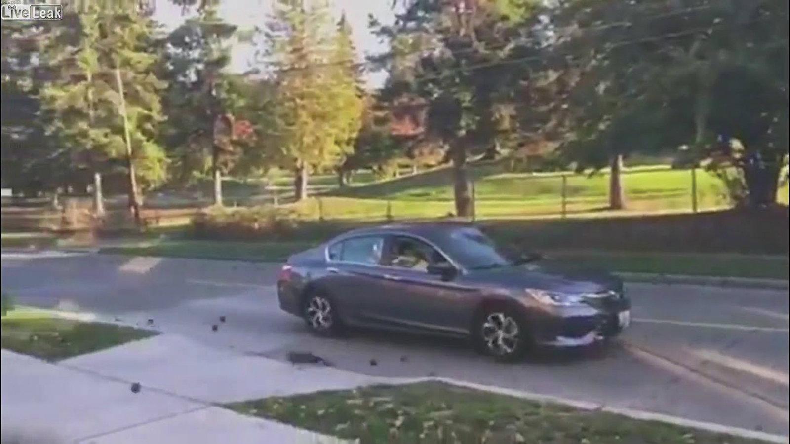 Αρκετά αυτοκίνητα υπέστησαν ζημιά απο αυτό το περίεργο περιστατικό.