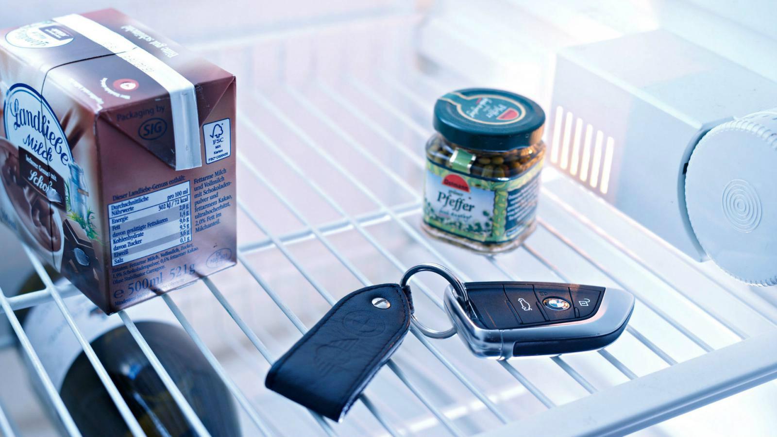 Ψυγείο
Τα κλειδιά Keyless Go είναι επίσης ασφαλή δίπλα στο γάλα και το πιπέρι