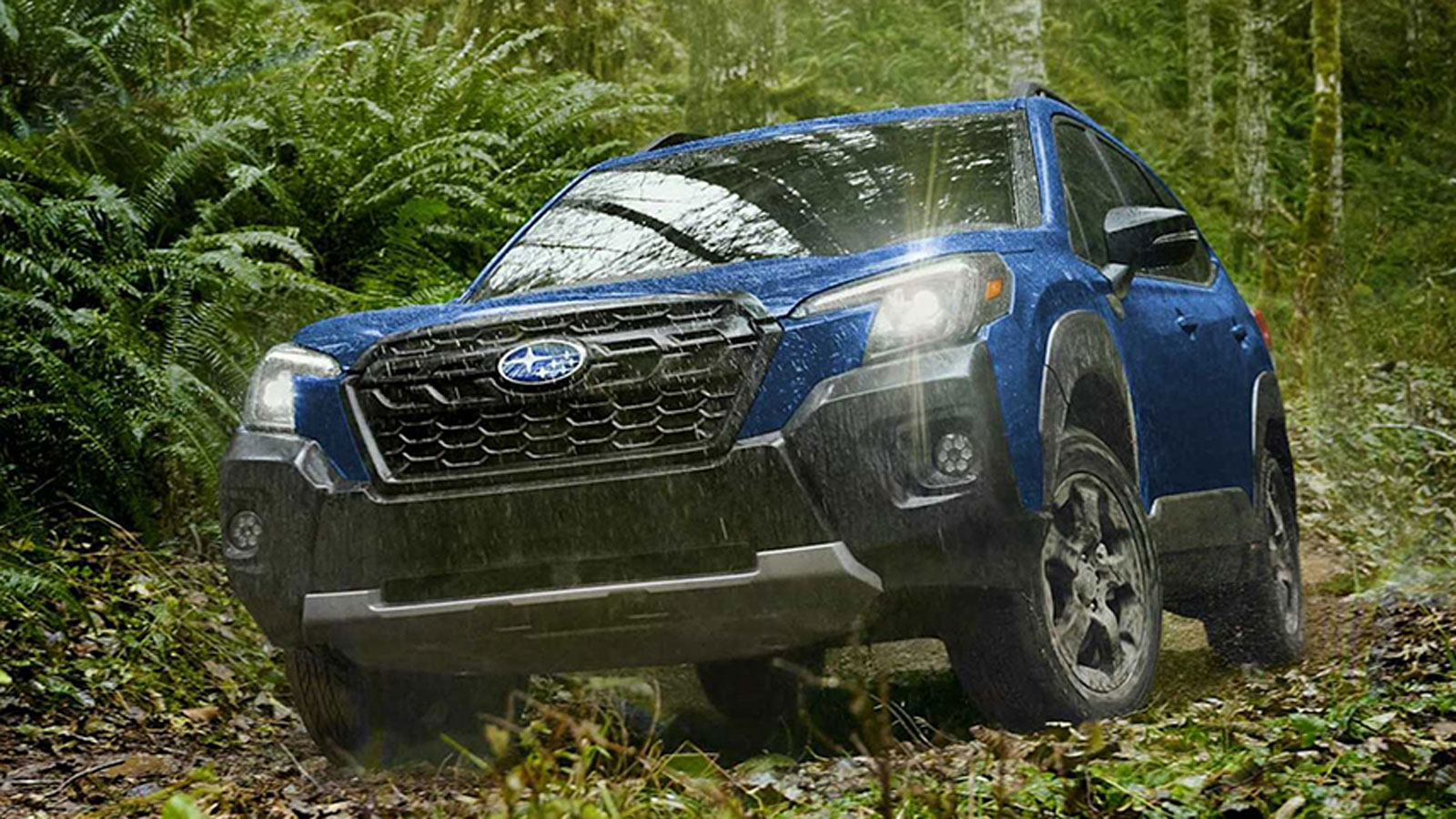 Προστατευτικά πλαστικά τόσο στο πλάι όσο και στους προφυλακτήρες, ελαστικά παντός εδάφους, μπάρες οροφής και αυξημένο ύψος είναι τα χαρακτηριστικά της