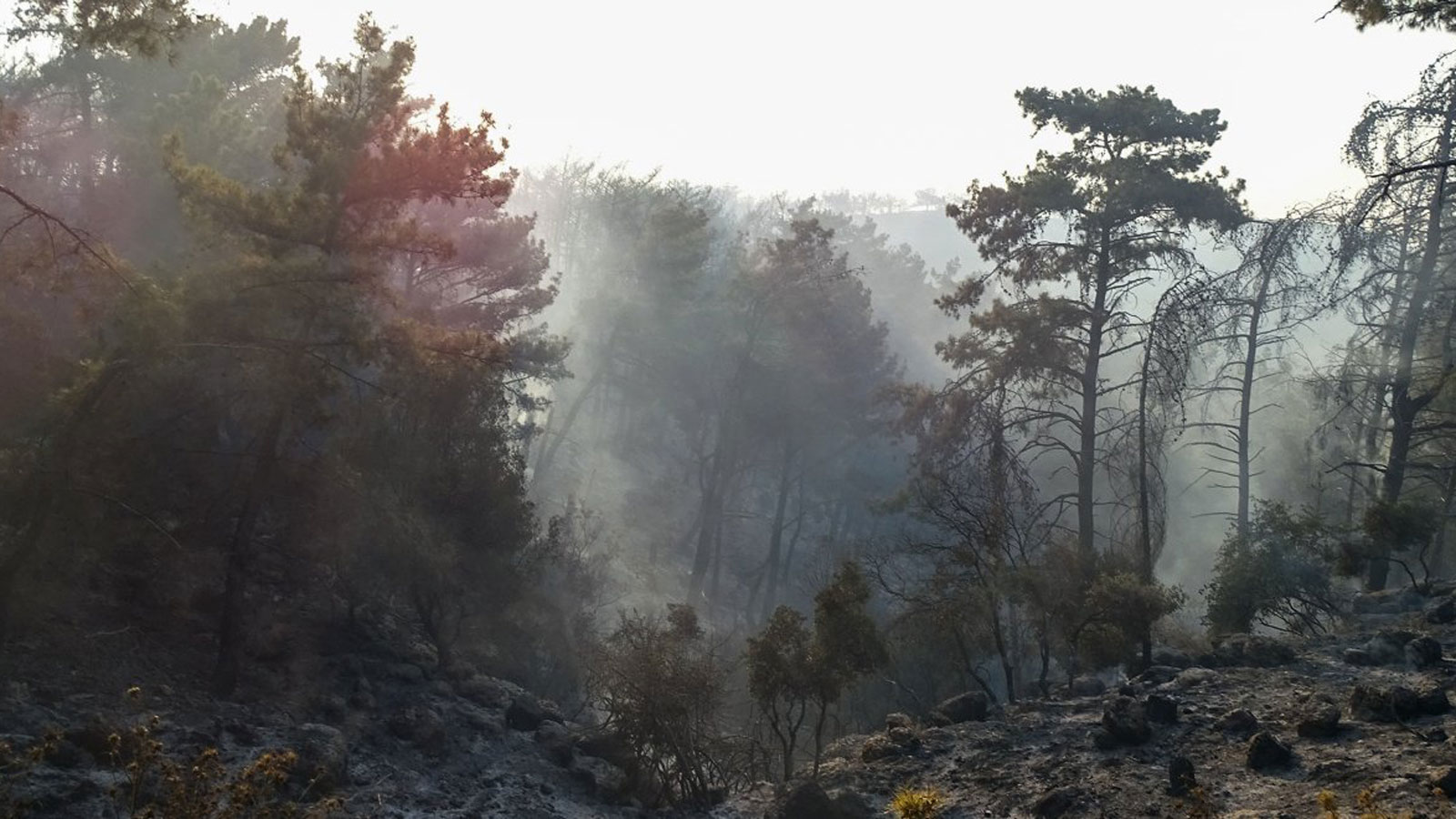 Ρόδος: Απαγόρευση κυκλοφορίας σήμερα από τις 14:00
