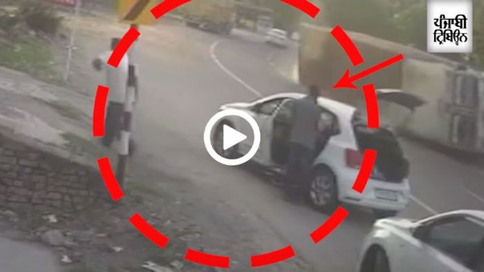 Αυτός σίγουρα έχει Μπάρμπα στην Κορώνη [video]