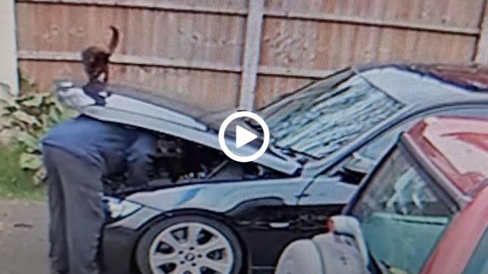 Του έφερε το καπό στο κεφάλι [video]