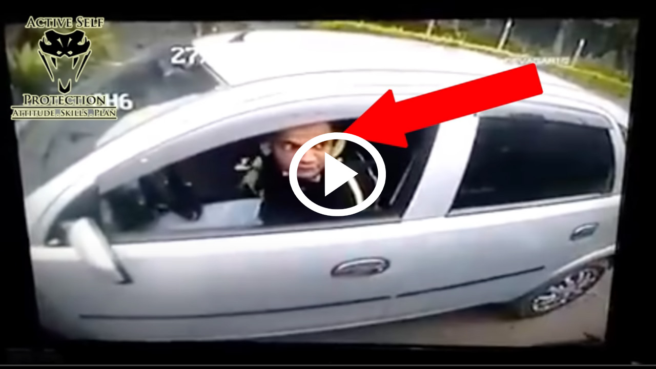 Το δικό μου σιδερικό κελαηδάει καλύτερα... [video]