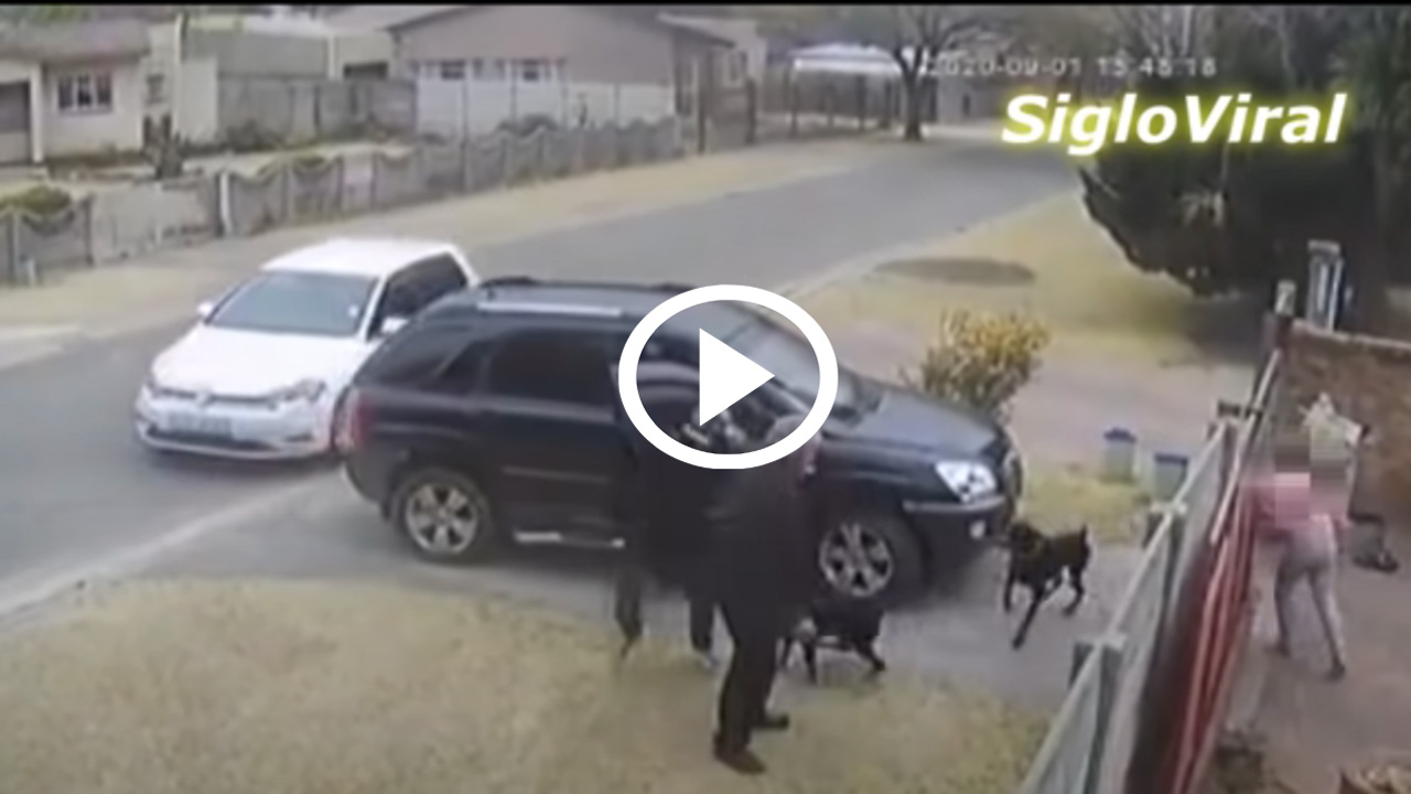 Πήγαν να κλέψουν παππού αλλά δεν είδαν τα Ντόπερμαν [video]