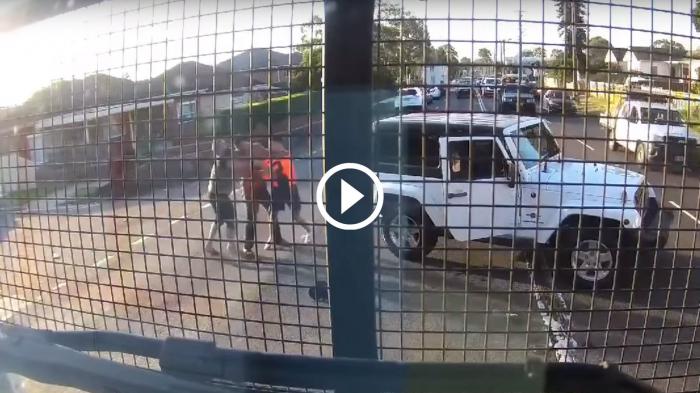 Τρελάκιας αρπάζει τις ψιλές του και τους κυνηγάει με αλυσοπρίονο [video]