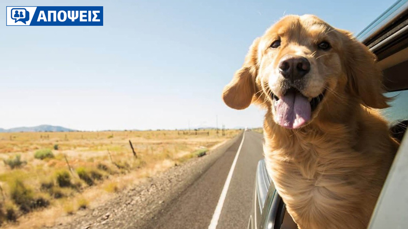 Είναι τα κατοικίδια στο αυτοκίνητο ένας ευχάριστος μπελάς;