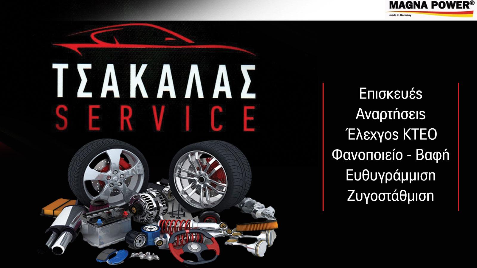 ΤΣΑΚΑΛΑΣ ΠΑΝΑΓΙΩΤΗΣ