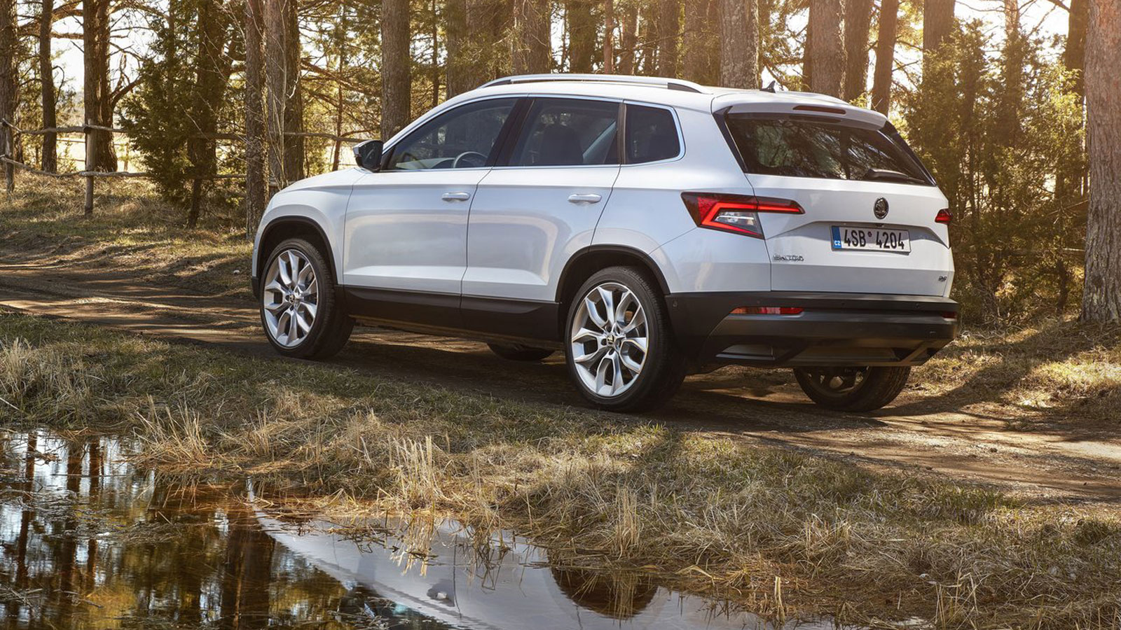 Μεταχειρισμένο Skoda Karoq diesel με 180.000 χλμ: Τι προβλήματα έχει;