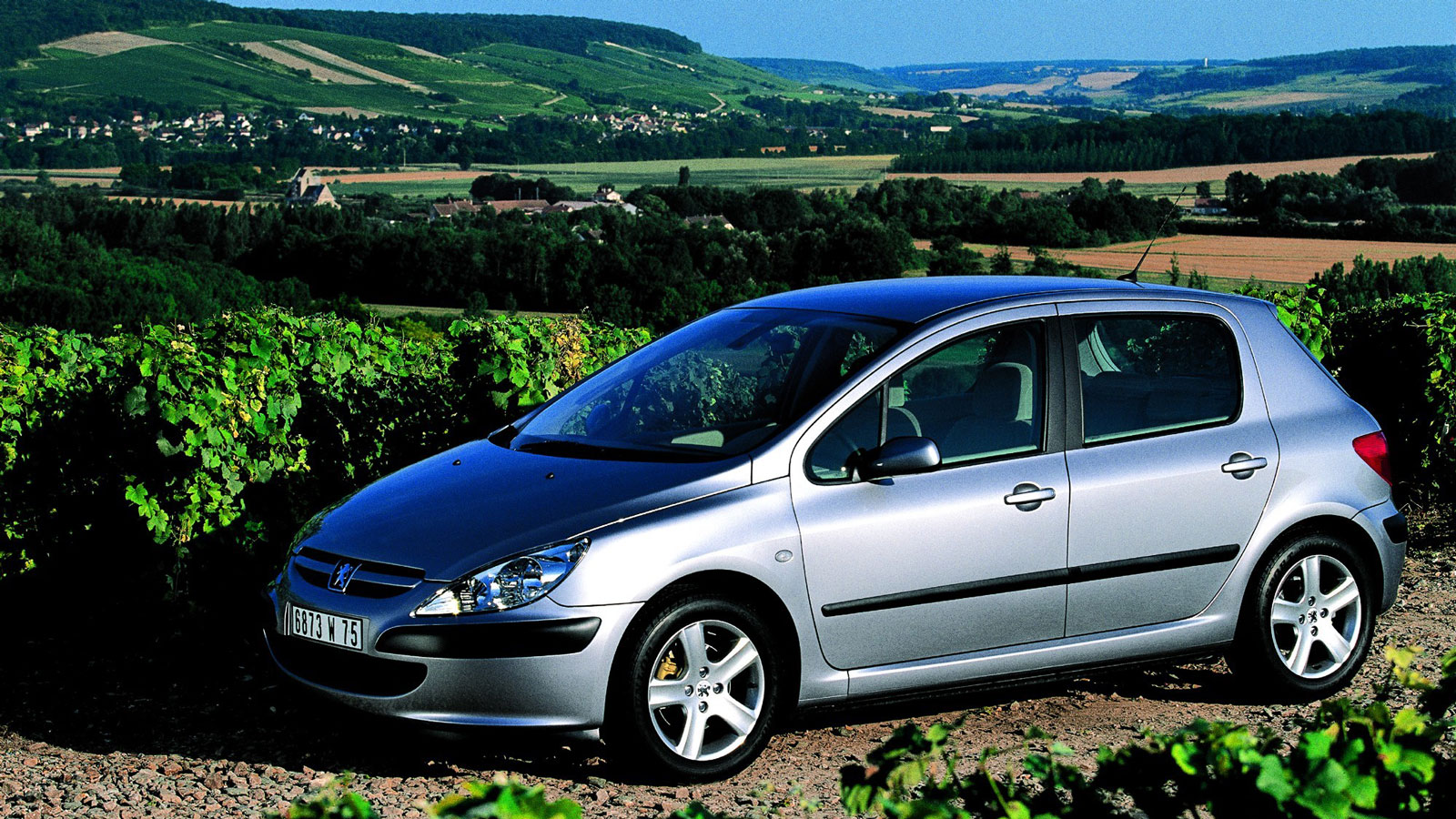 Peugeot 307: Από την πόλη στο WRC