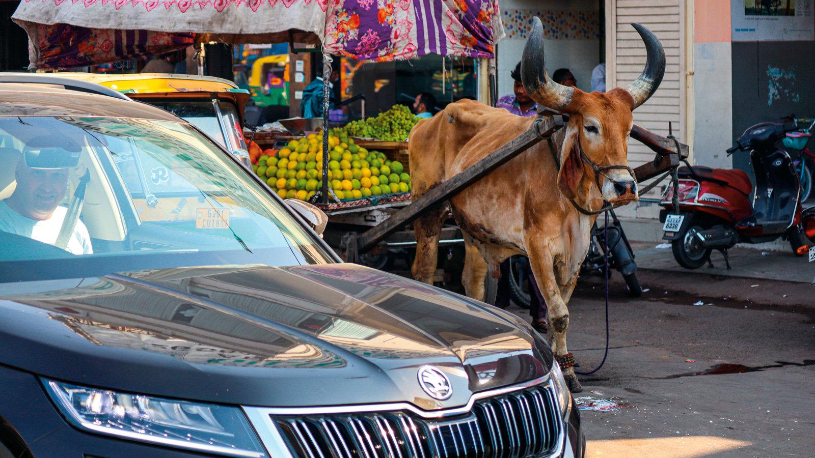Πως είναι να οδηγείς στους άναρχους δρόμους της Ινδίας?