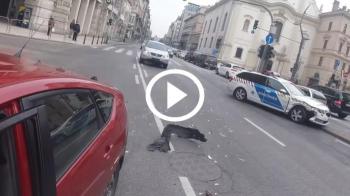 Αστυνομικοί δεν πρόσεξαν και φέρανε τον όλεθρο [video]