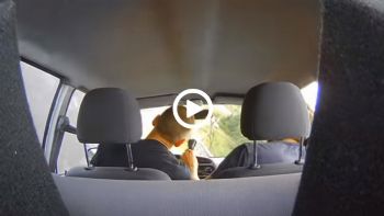 VIDEO: Μια ανάσα πριν τις τούμπες...