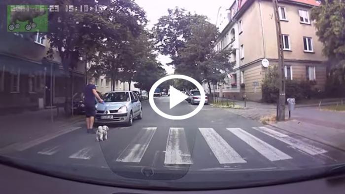 Πεζός με σκυλάκι ποδοπάτησε αυτοκίνητο γιατί ενοχλήθηκε [video]