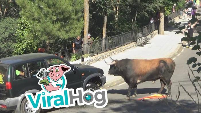 4x4  …! (+video)