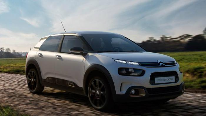  C4 Cactus Origins.