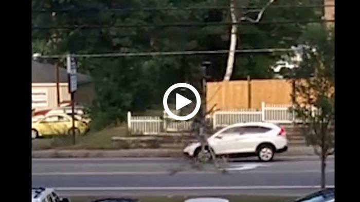 Ένα Δέντρο τρακάρει αυτοκίνητο... [video]