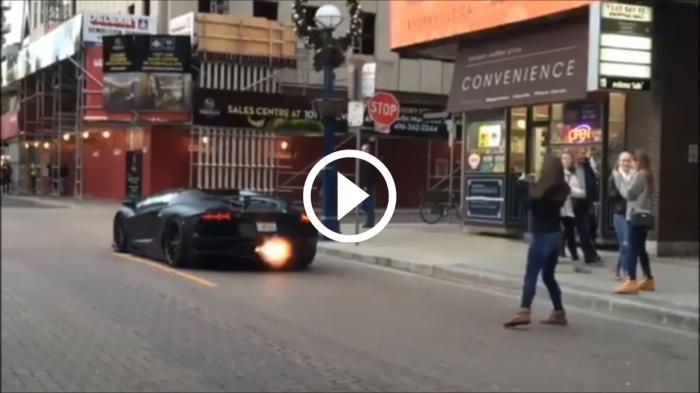 Κάγκουρας με Lamborghini τρομάζει τον κόσμο [video]