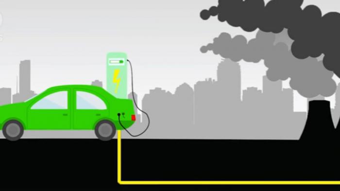   Eco    ;